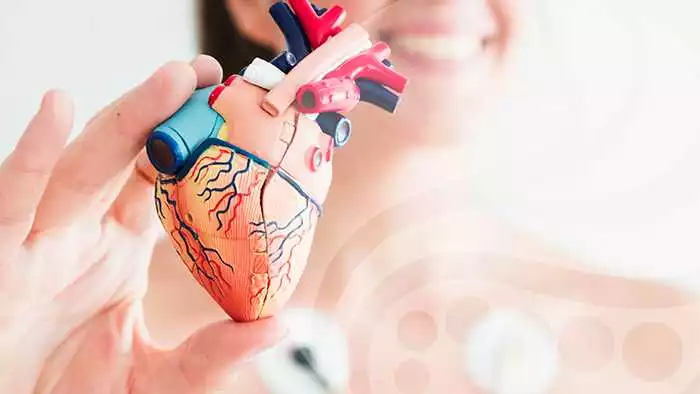 Cómo Puede Ayudarte Cardiobalance A Mejorar Tu Salud Cardíaca