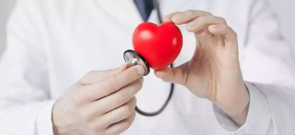 Factores Que Afectan La Salud Cardiovascular
