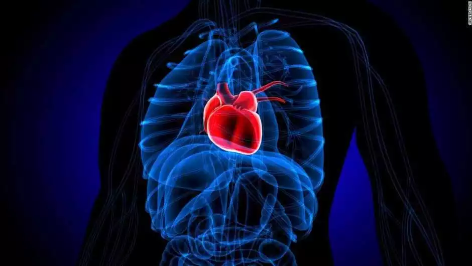 Compra Cardiobalance en Garza: mejora la salud cardiovascular