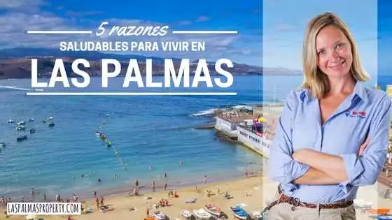 Cuidado Y Mantenimiento De Tus Sasparin En Las Palmas De Gran Canaria
